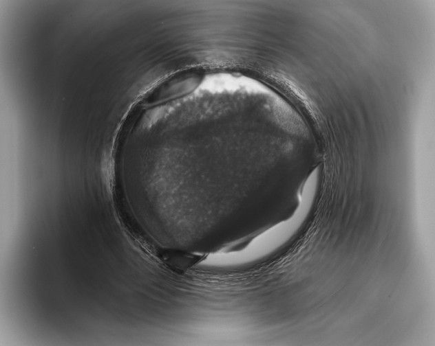 X0000095530488200801111416