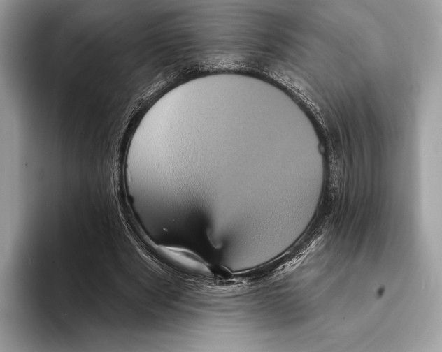 X0000095530489200801111416