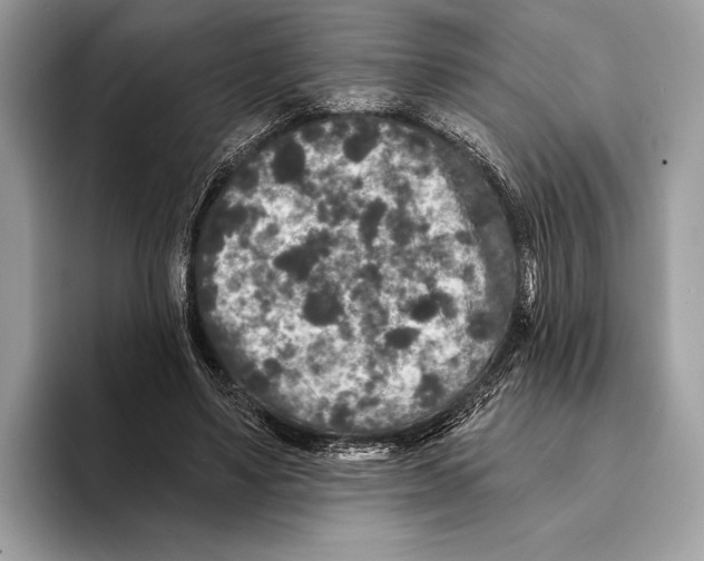 X0000095530491200801111416