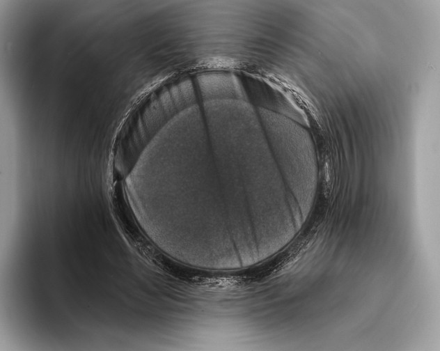 X0000095530492200801111416