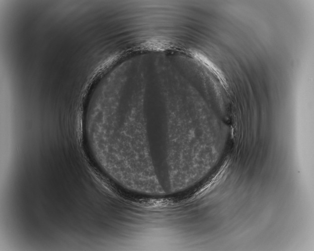 X0000095530493200801111416