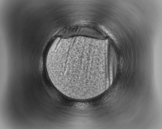 X0000095530494200801111416