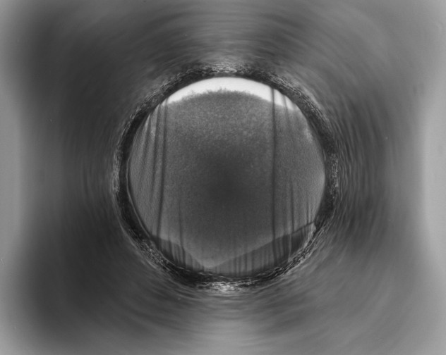 X0000095530496200801111416