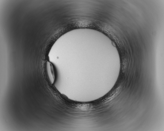 X0000095530497200801111416