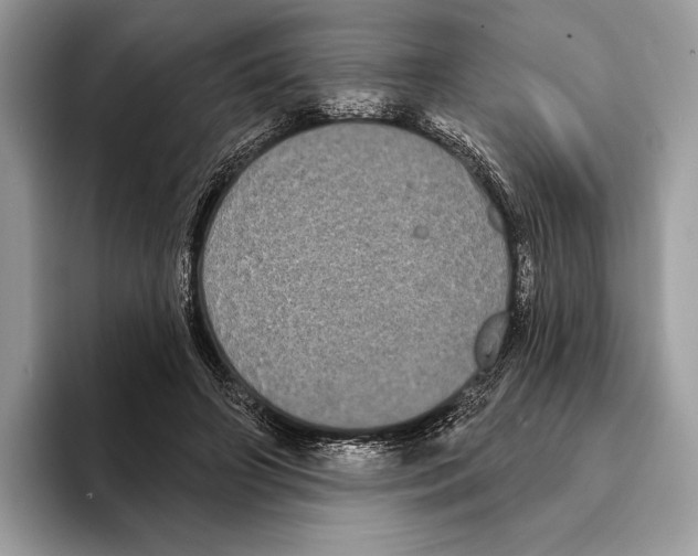 X0000095530498200801111416