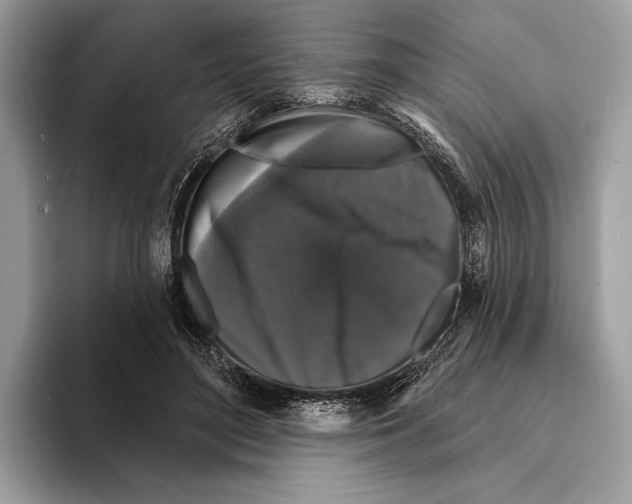 X0000095530500200801111416