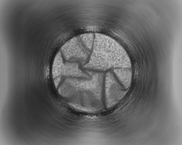 X0000095530502200801111416