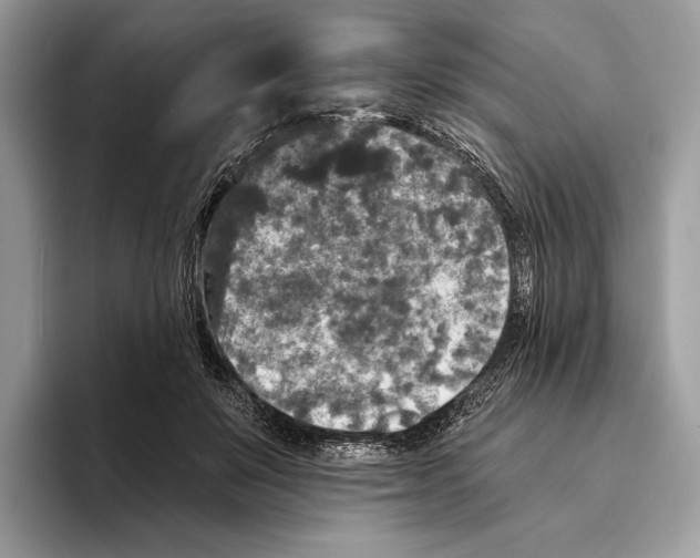 X0000095530503200801111416