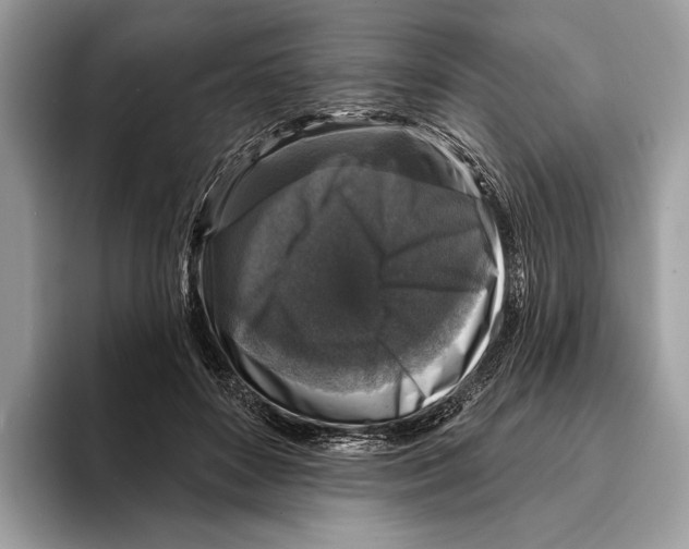 X0000095530504200801111416