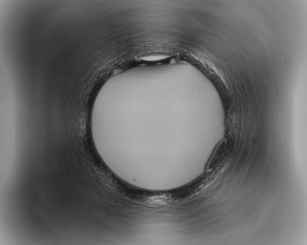 X0000095530505200801111416