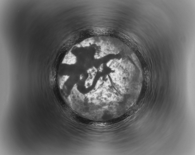 X0000095530507200801111416