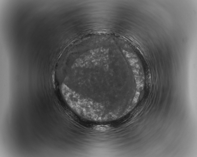 X0000095530508200801111416