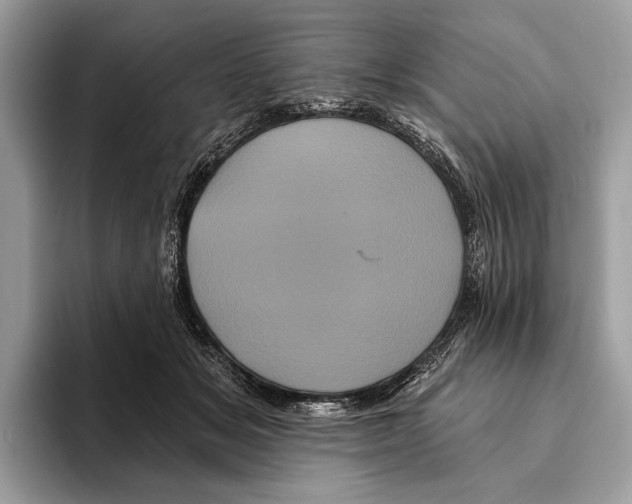 X0000095530509200801111416