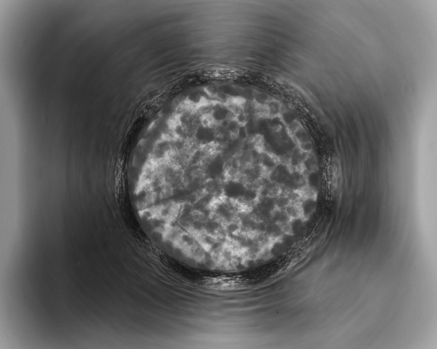 X0000095530511200801111416