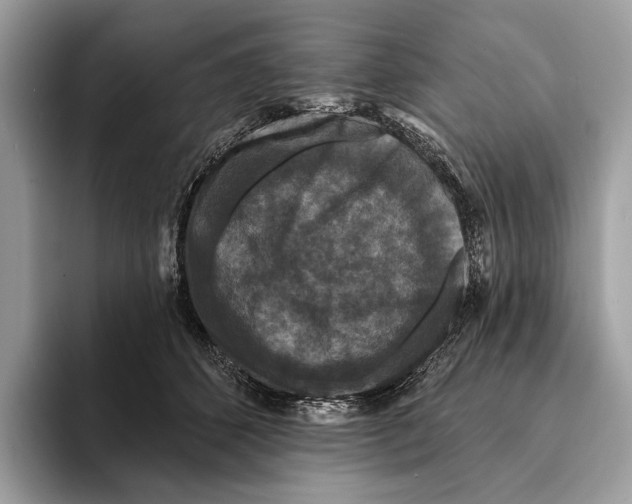 X0000095530512200801111416