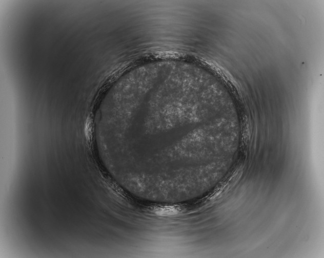 X0000095530513200801111416