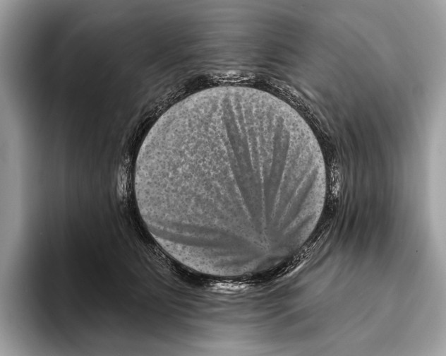 X0000095530515200801111416