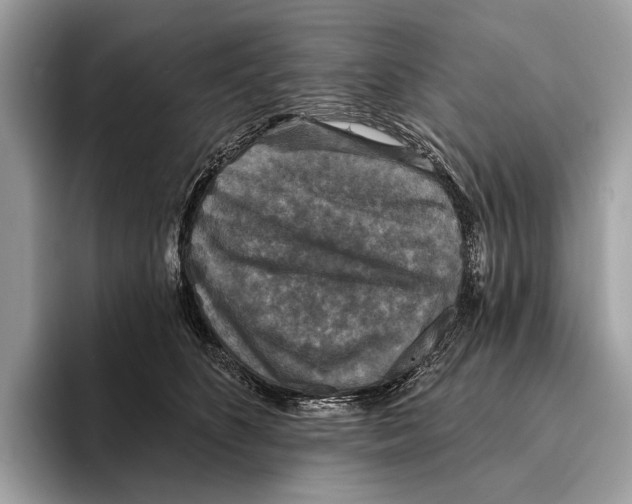 X0000095530516200801111416