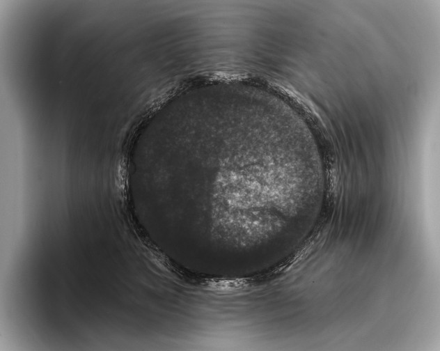 X0000095530517200801111416