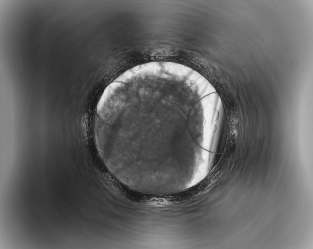 X0000095530519200801111416