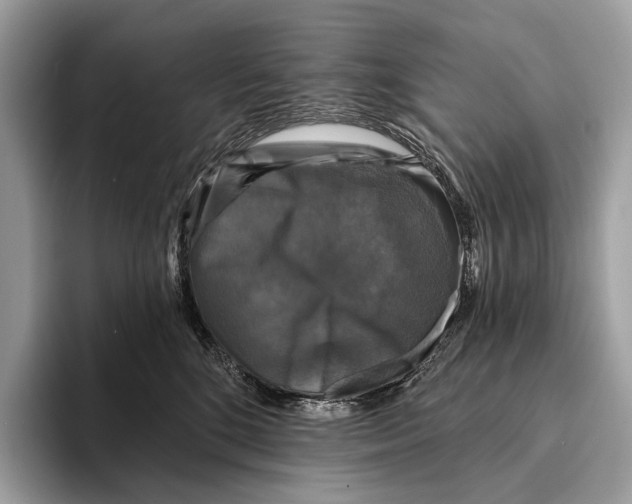 X0000095530520200801111416