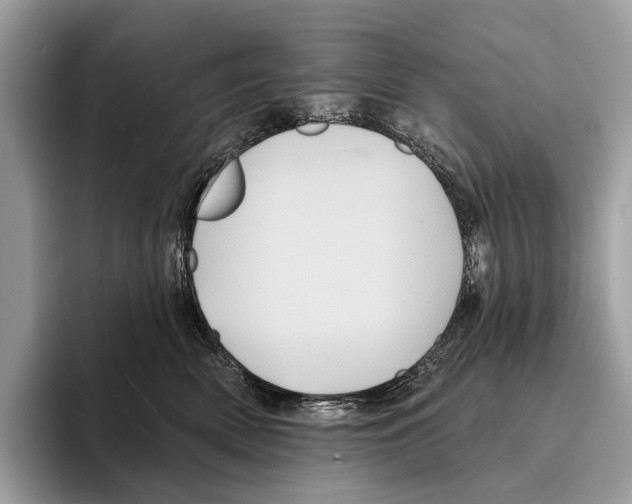 X0000095530522200801111416