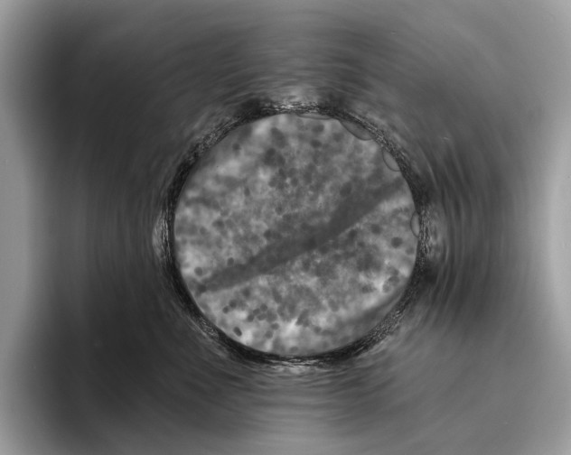 X0000095530523200801111416