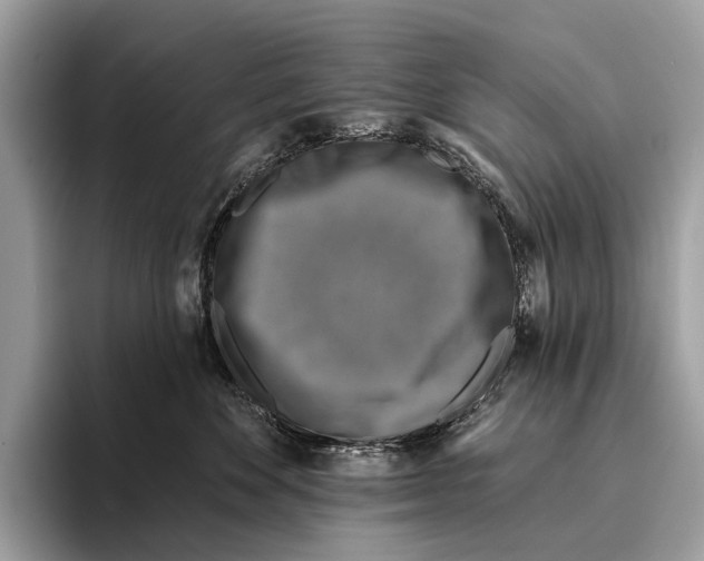 X0000095530524200801111416