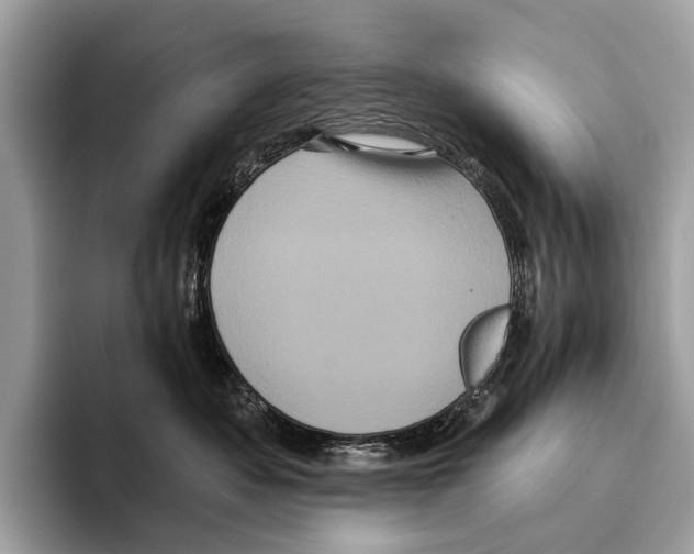 X0000095530525200801111415