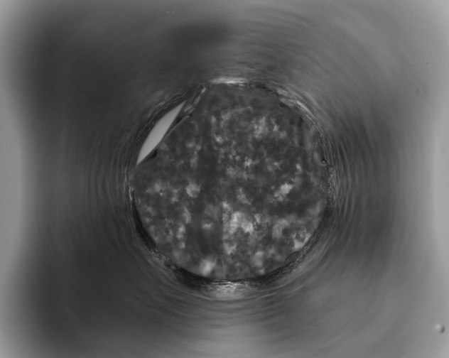 X0000095530527200801111415