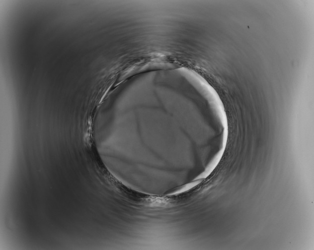 X0000095530528200801111415