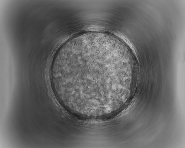 X0000095530529200801111415