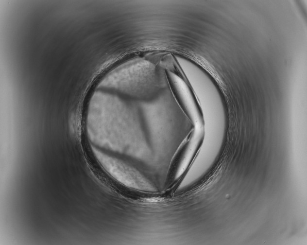 X0000095530530200801111415