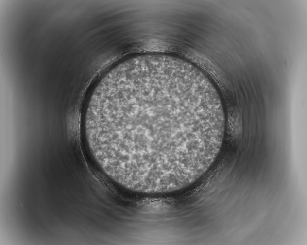 X0000095530534200801111415