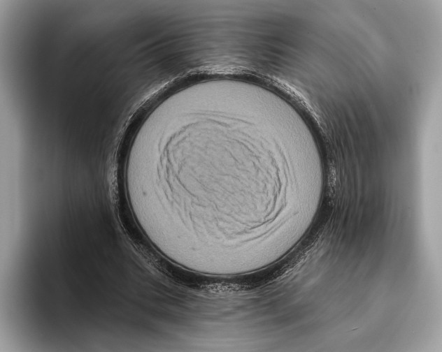 X0000095530535200801111415