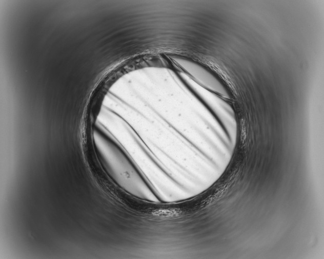 X0000095530536200801111415