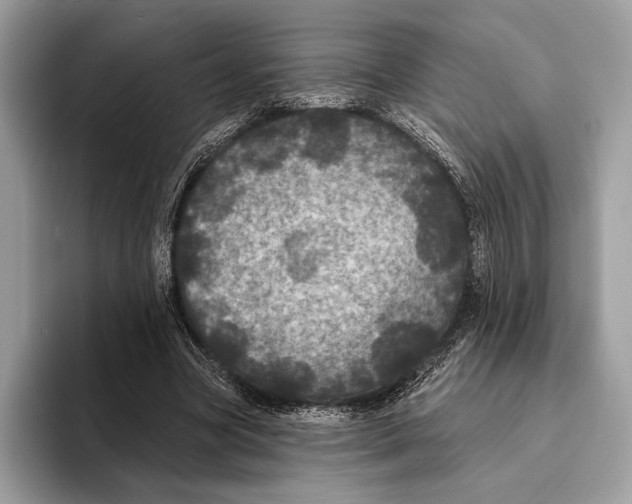 X0000095530537200801111415