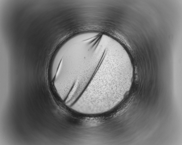 X0000095530538200801111415