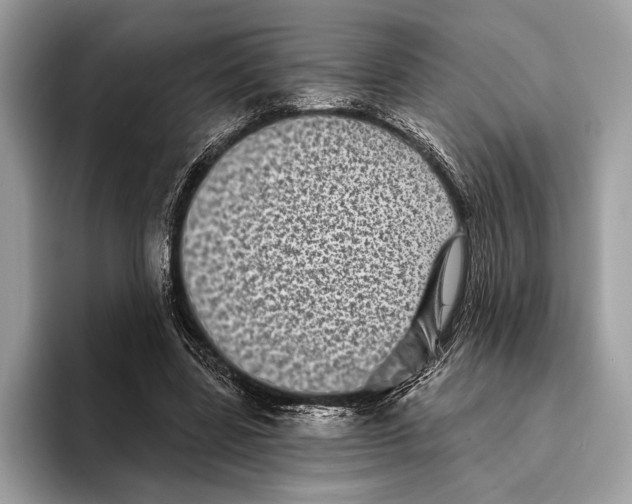 X0000095530539200801111415