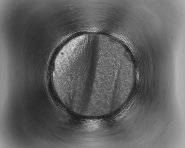 X0000095530540200801111415