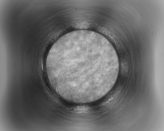 X0000095530541200801111415