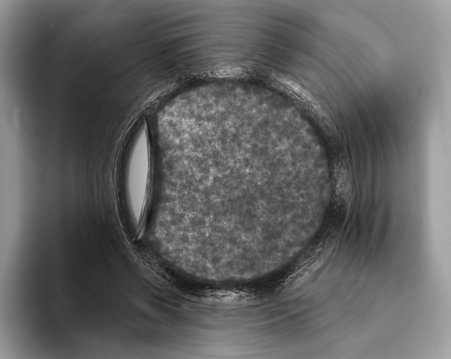 X0000095530542200801111415