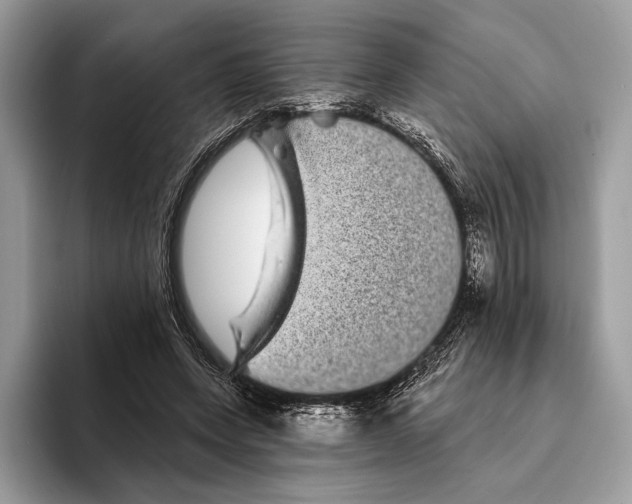 X0000095530543200801111415