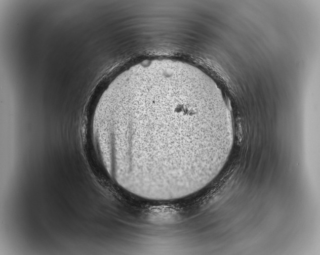 X0000095530544200801111415