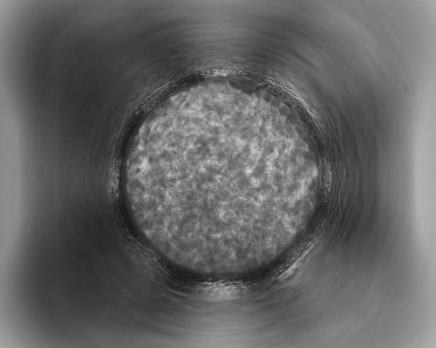 X0000095530545200801111415