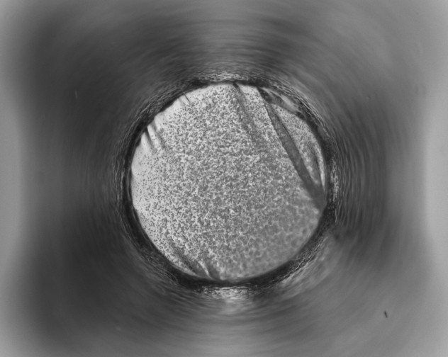 X0000095530546200801111415