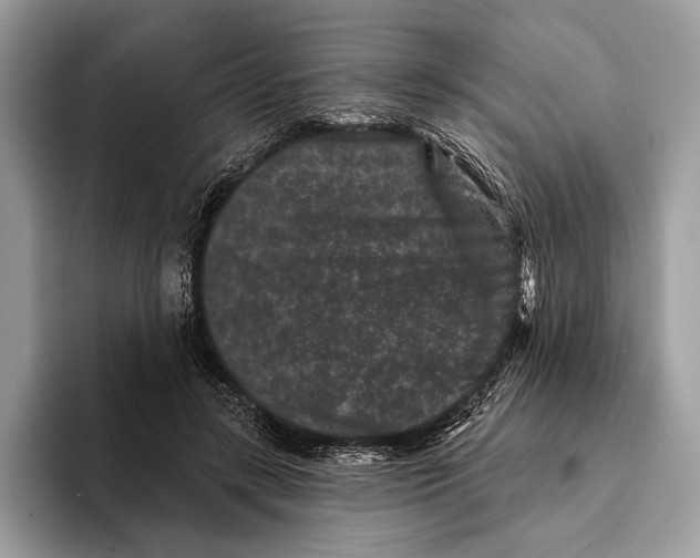 X0000095530547200801111415