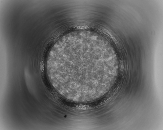 X0000095530549200801111415