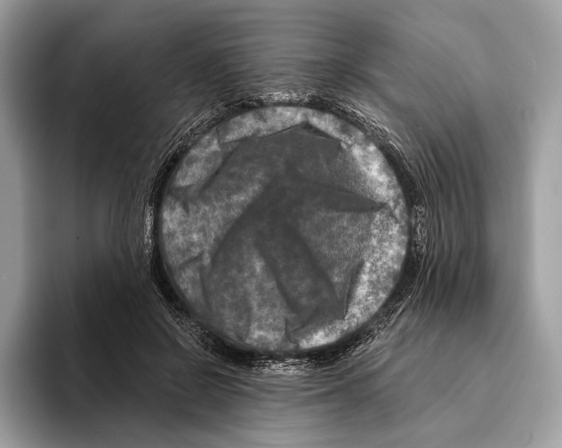 X0000095530550200801111415