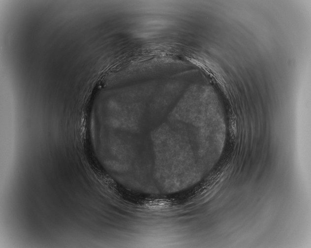 X0000095530551200801111415